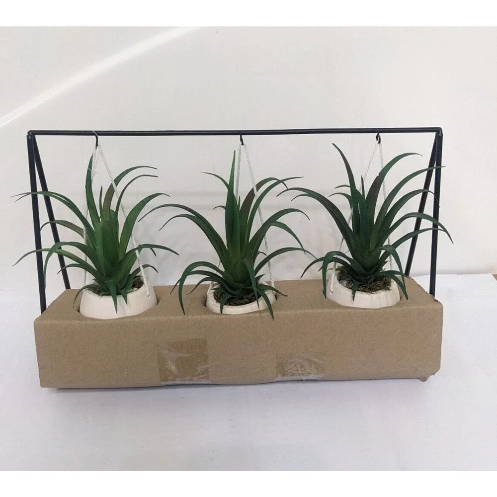 Set 3 pcs Hanging Cactus Cacti in Planters Indoor Rope Hanger Flower Pot Basket